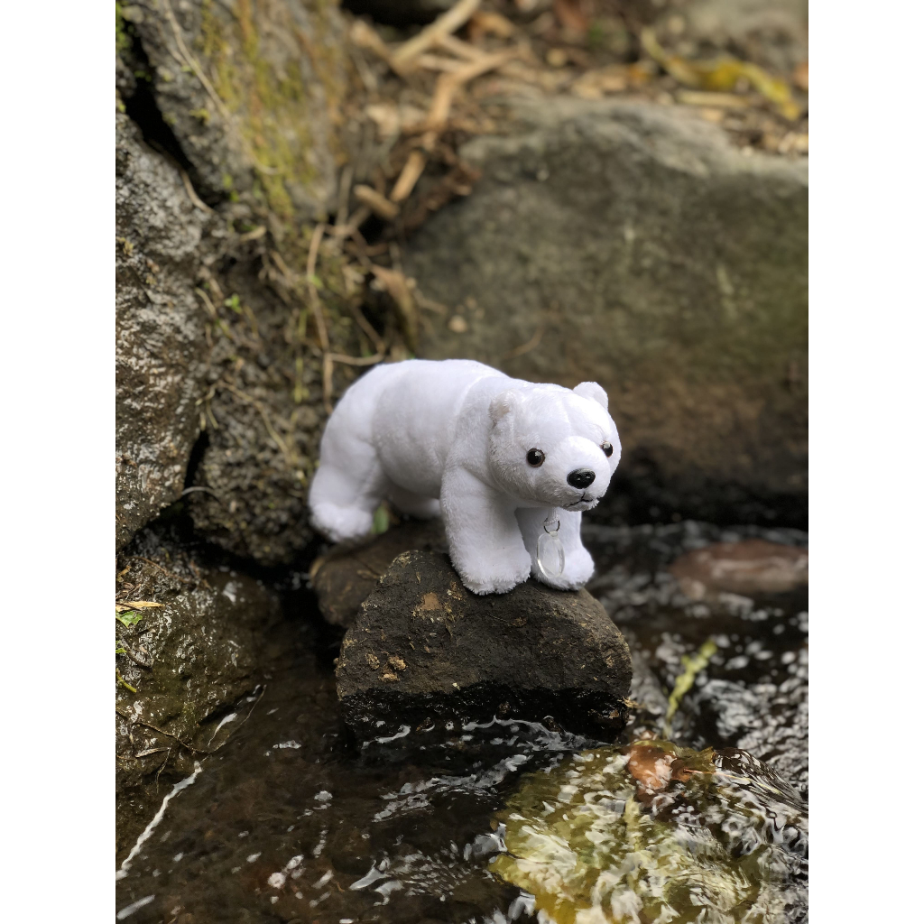 Jual Boneka Baby Polar Bear Bean Bag Mainan Anak Beruang Kutub Plush