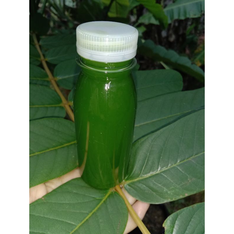 salep kulit   daun ketepeng cina  (cair)per 100ml+bonus daun ketepeng segar