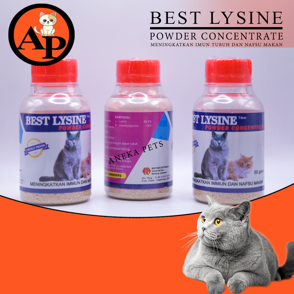 Jual Best Lysine Cat 50GR - Mencegah Virus Herpes Kucing Menguatkan ...