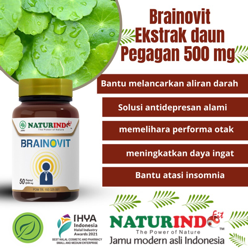 Jual Ekstrak Daun Pegagan 500 Mg Herbal Brainovit Isi 50 Kapsul