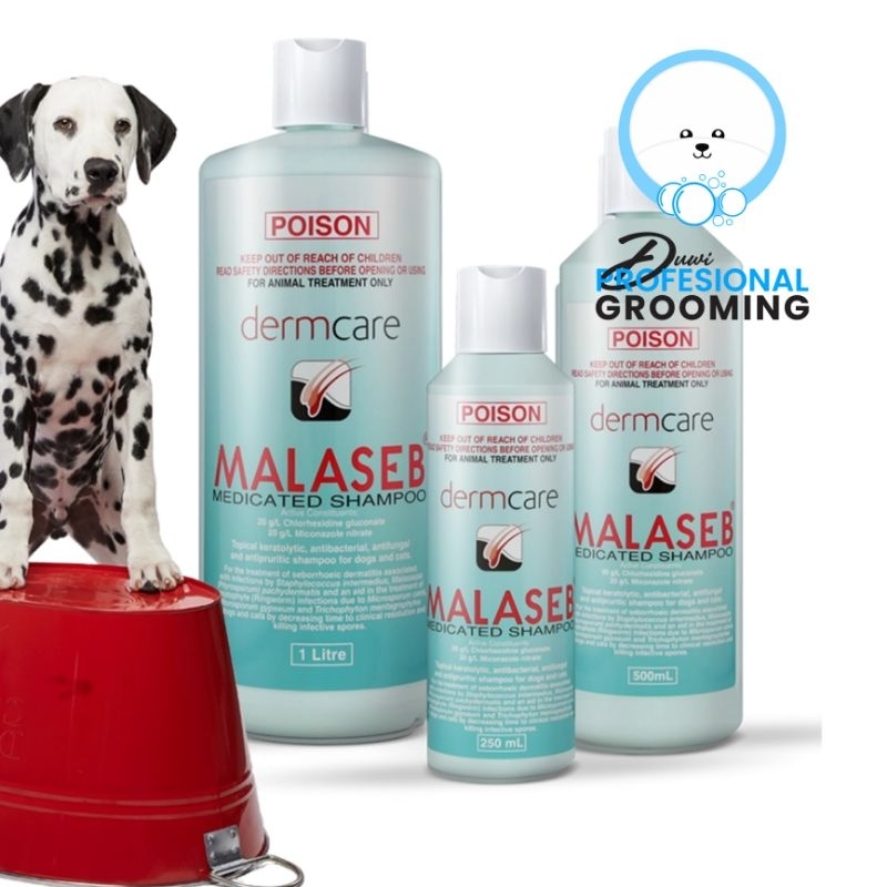Jual malaseb dermcare medicated shampoo 1 liter Shopee Indonesia