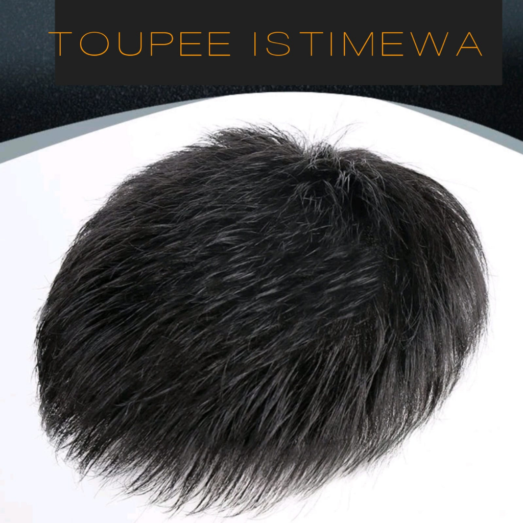 Jual Toupee Istimewa Penutup Kebotakan Pria Rambut Pendek Hitam Natural ...