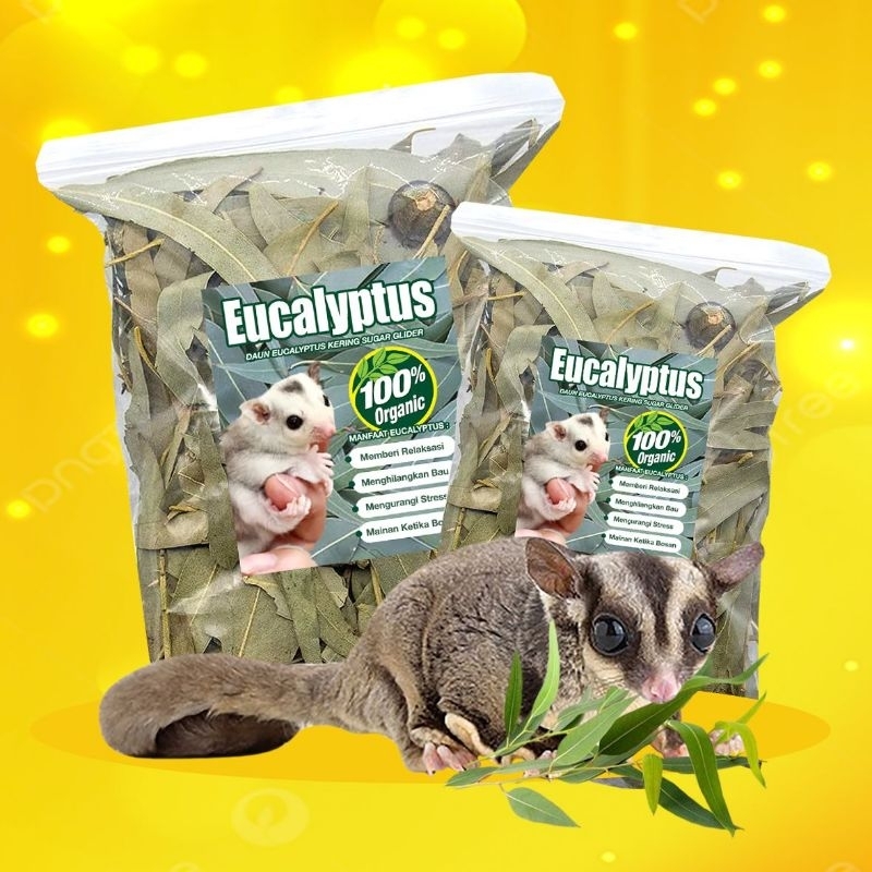 Jual EUCALYPTUS 20 GR Daun Eucalyptus Kering Snack Sugar Glider