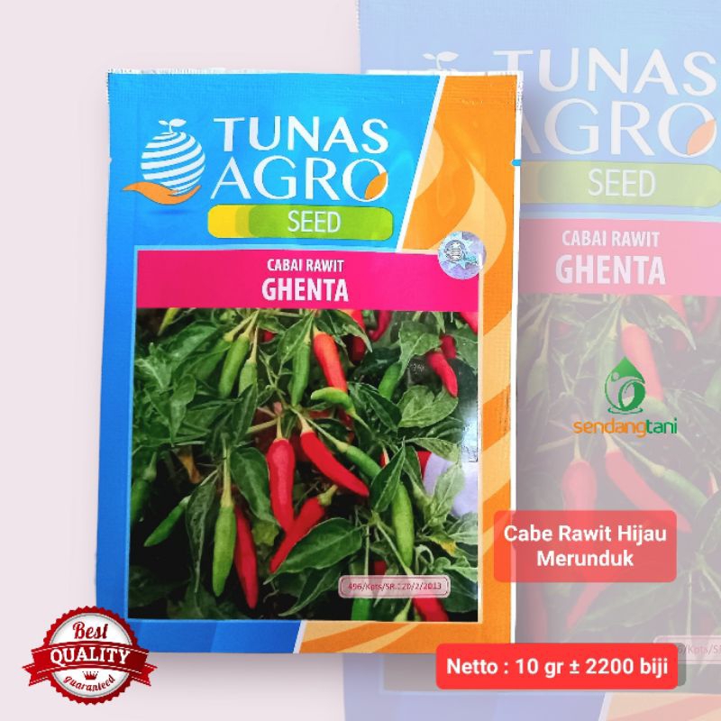 Jual Cabe Rawit Hijau Merunduk GHENTA Benih Bibit Cabai CRM Genta Tunas ...