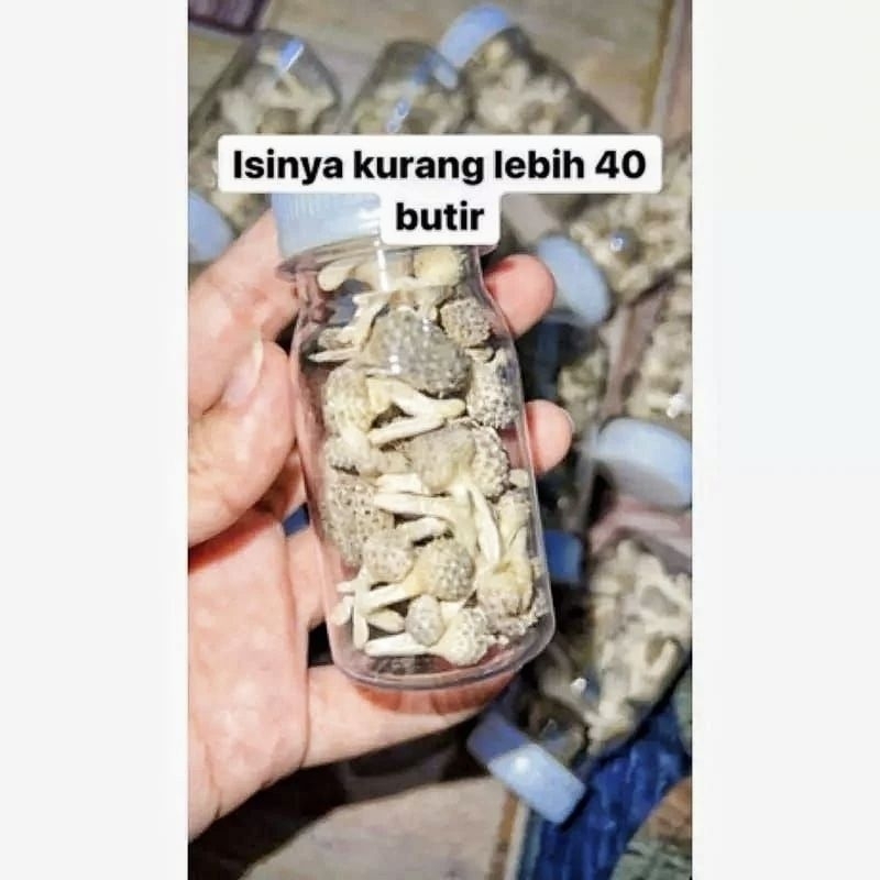 Jual MPOT PUTIH SUPER ORIGINAL | Shopee Indonesia