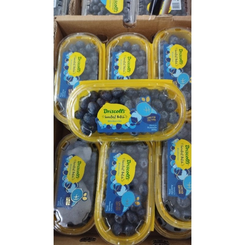 Jual Bluberi Australia limited edition super jumbo/ pack | Shopee Indonesia