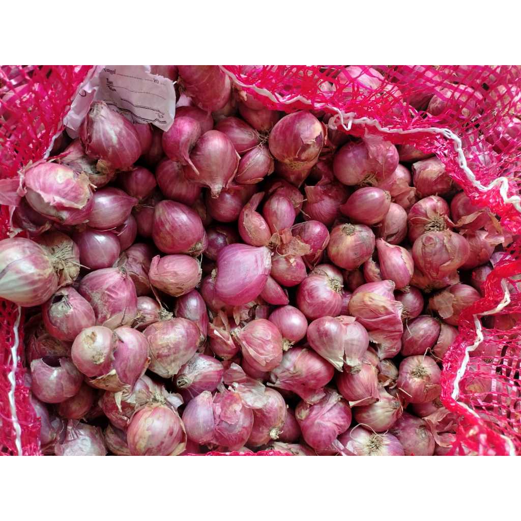 Jual Bawang Merah Brambang Lokal 1kg Shopee Indonesia