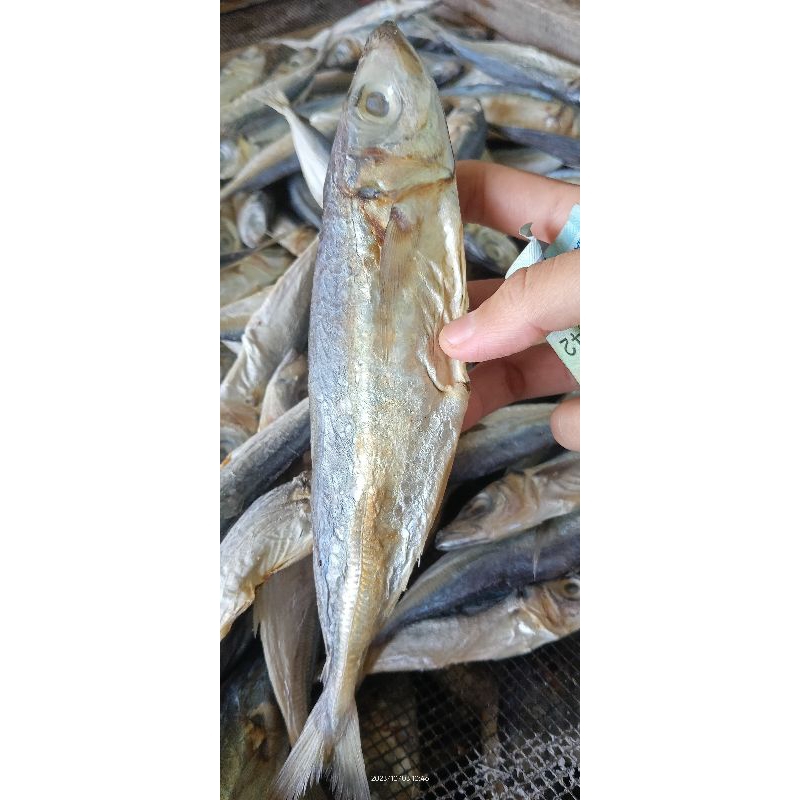 Jual Ikan Klotok Layang 250grm Shopee Indonesia