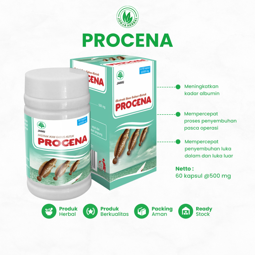 Jual Kapsul Kutuk Procena Ekstrak Ikan Gabus Regerenasi Sel Mempercepat ...