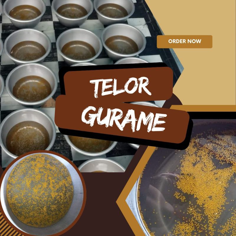 Jual Paket 1000 Telur Gurame Padang Larva Gurame Padang Shopee Indonesia