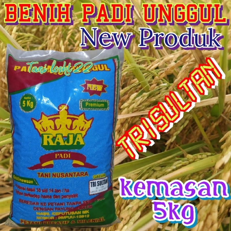 Jual Benih Padi New Unggul Trisultan Kemasan 5kg Original Shopee