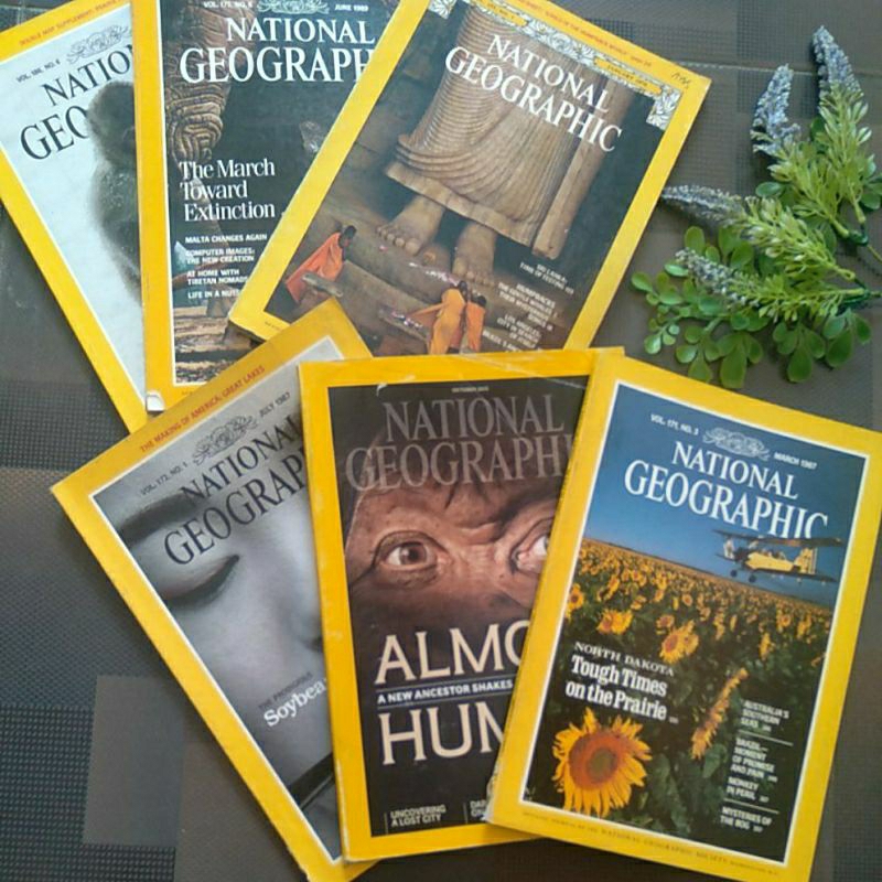 Jual Buku National Geographic Bahasa Inggris | Shopee Indonesia