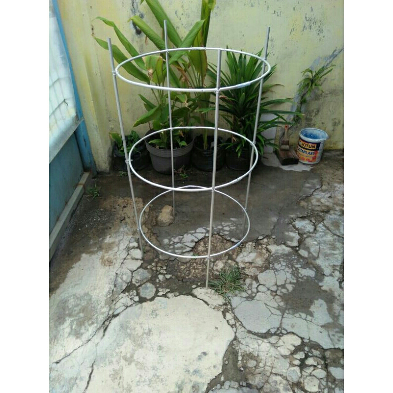Jual TIANG RAMBATAN ANGGUR D 50CM TINGGI 1METER | Shopee Indonesia