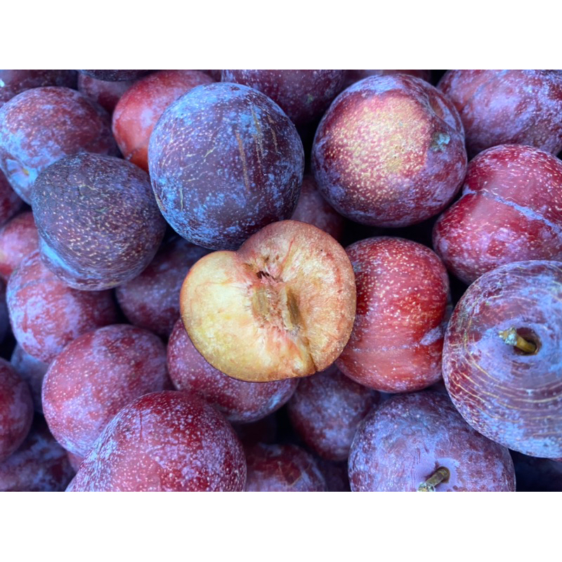 Jual Plum red cherry | promo buah plum cherry red 500g | Shopee Indonesia