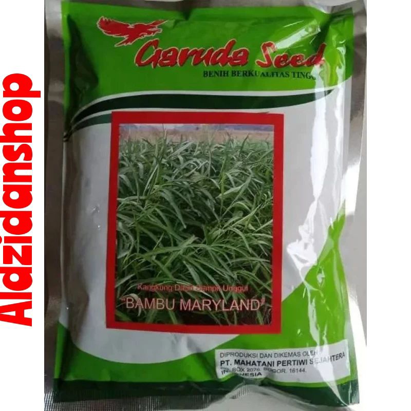 Jual Benih Bibit Kangkung Daun Sempit Bambu Maryland Isi Bersih 500gr