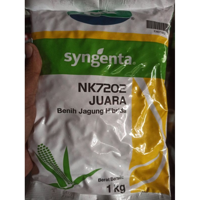 Jual Benih Jagung NK JUARA 7202 1 Kg | Shopee Indonesia