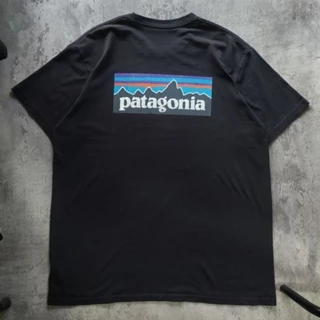 Harga Patagonia Original Kaos Terbaru April 2024