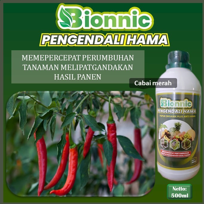 Jual Pupuk Pertumbuhan Tanaman Cabe Merah Bionnic Isi Ml Pupuk