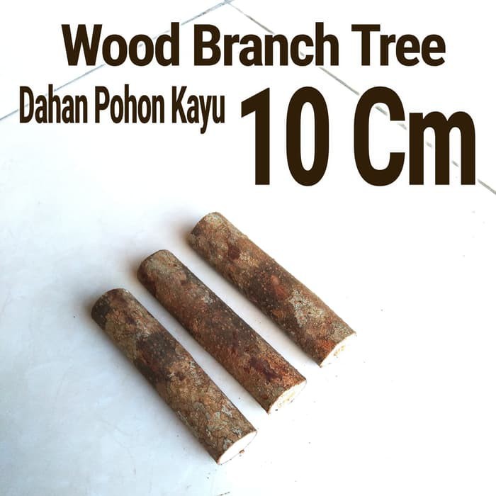 Jual Wood Branch Tree 1-2x10 Cm Dahan kayu potongan kayu bahan craft ...