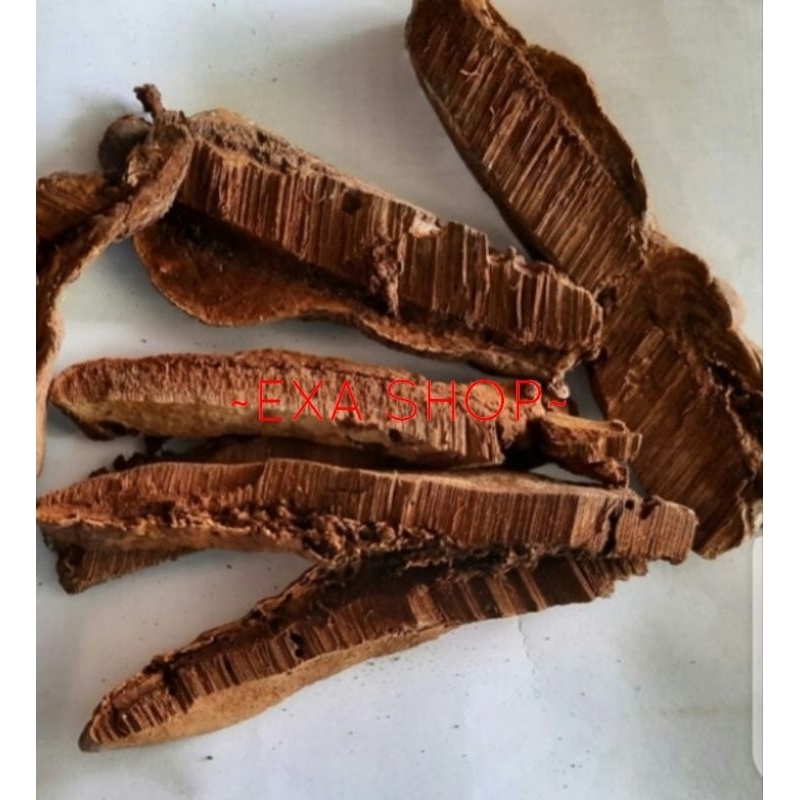 Jual Jamur lingzhi hutan / ling zhi liar iris kering 100 gram Shopee