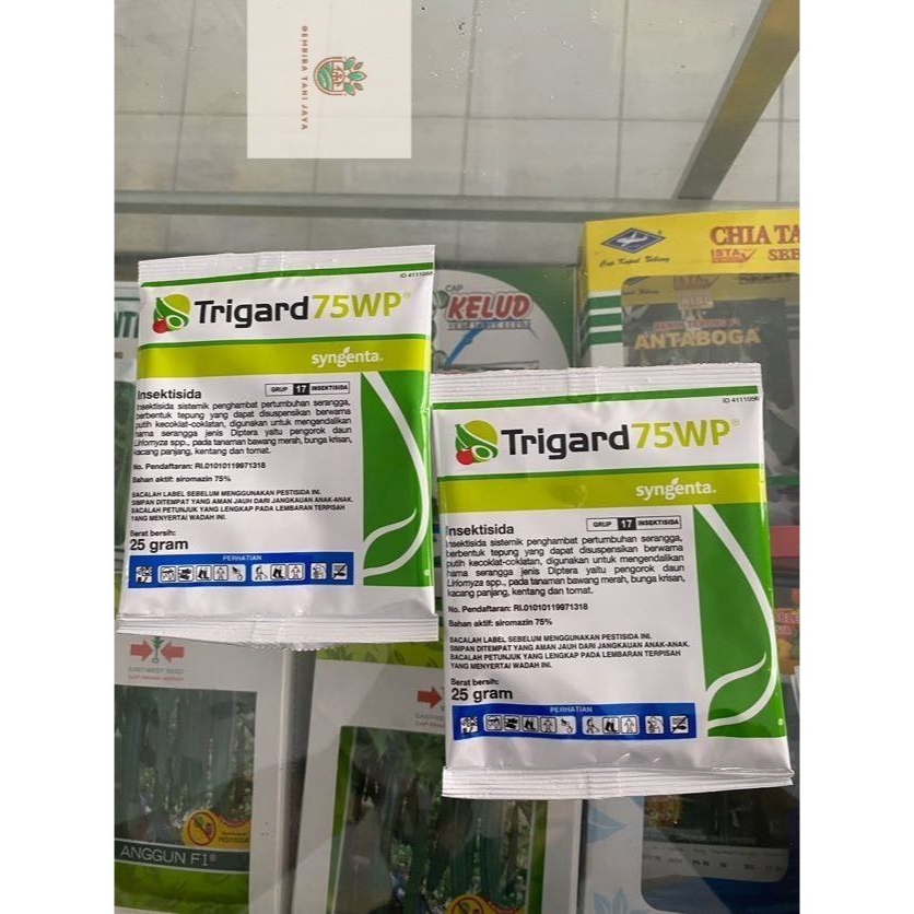 Jual INSEKTISIDA OBAT PERTANIAN PEMBASMI HAMA Trigard 75 WP Insektisida ...