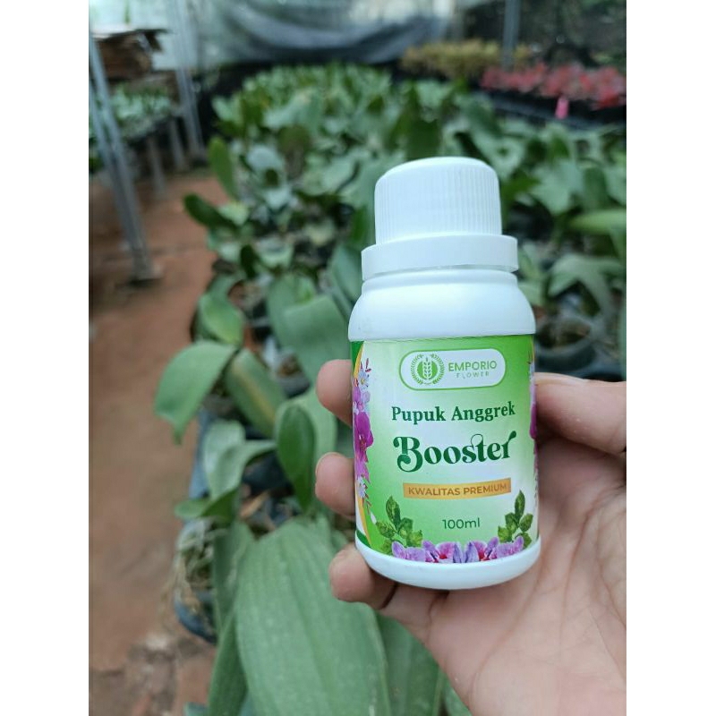 Jual Pupuk BOOSTER Anggrek Bulan | Shopee Indonesia