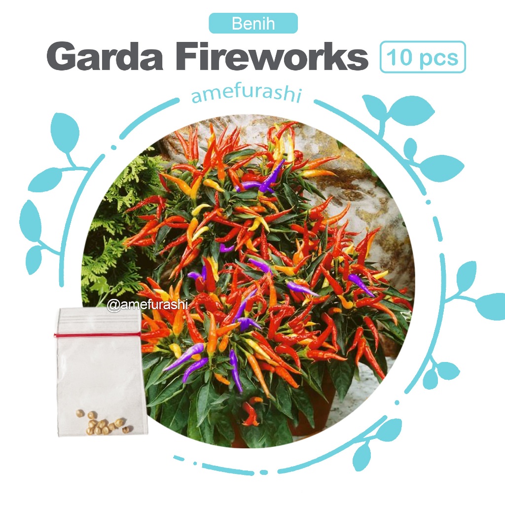 Jual Amefurashi 10 Benih/Bibit/Seeds Garda Fireworks Pepper Cabe ...