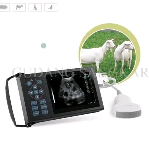 Jual Mesin USG Ultrasound Pemeriksa Kehamilan Hewan Ternak Kambing ...