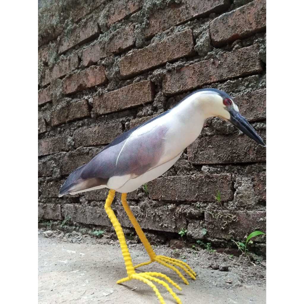 Jual Jontort patung koak abu/koak maling/koak malam | Shopee Indonesia