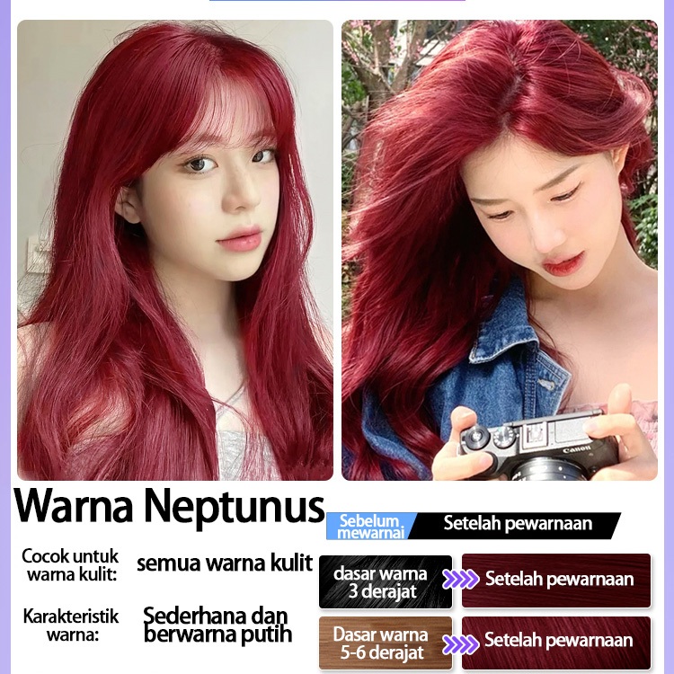 Jual JIAYING Hair color pewarna rambut Cat rambut Semir rambut 6-Color ...