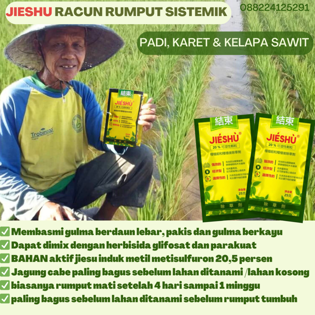 Jual Herbisida Racun Rumput Sistemik Selektif Pembasmi Rumput Padi ...