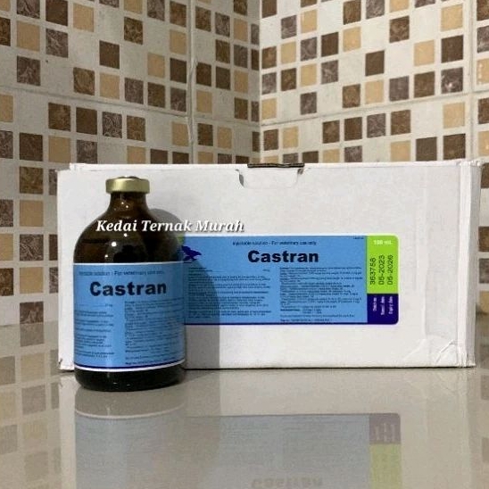 Jual Castran 100 ml inj Anastesi Premedikasi Penenang Hewan Sapi Kuda ...