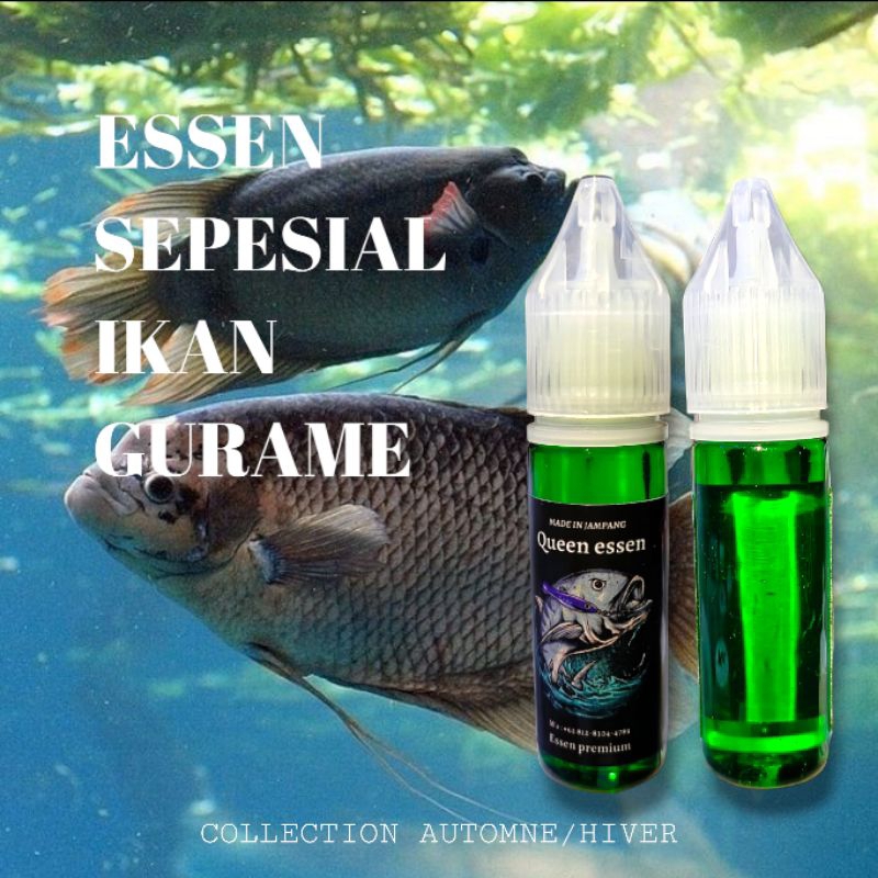 Jual ⭐ QUEEN ESSEN ⭐ ESSEN SEPESIAL IKAN GURAME | Shopee Indonesia