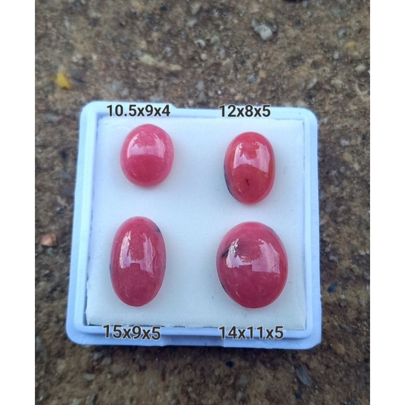 Jual red borneo super | Shopee Indonesia