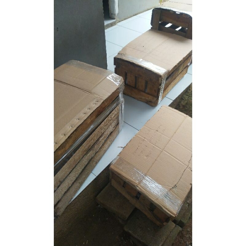 Jual packingan untuk kirim ayam via bis - motor - kalog | Shopee Indonesia