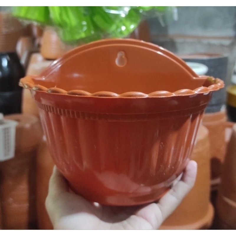 Jual Pot Dinding Pot Bunga Pot Tanaman Dinding Shopee Indonesia