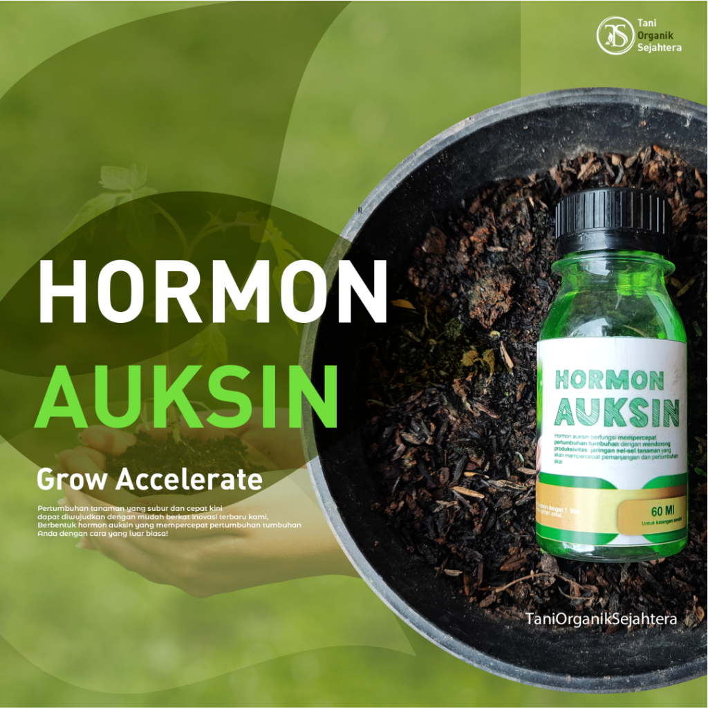 Jual Hormon Auksin : Hormon Ajaib Untuk Pertumbuhan Tanaman Cepat Dan ...