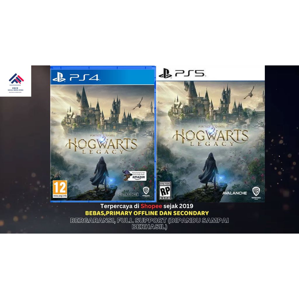 Jual Hogwarts Legacy PS5 PS4 Original Digital Sharing Permanen | Shopee ...