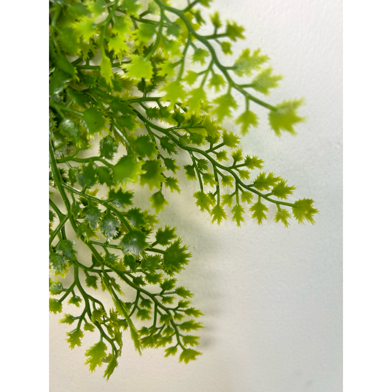 Jual Daun Rambat Juntai Pakis Artificial Daun Juntai Cemara Hias ...