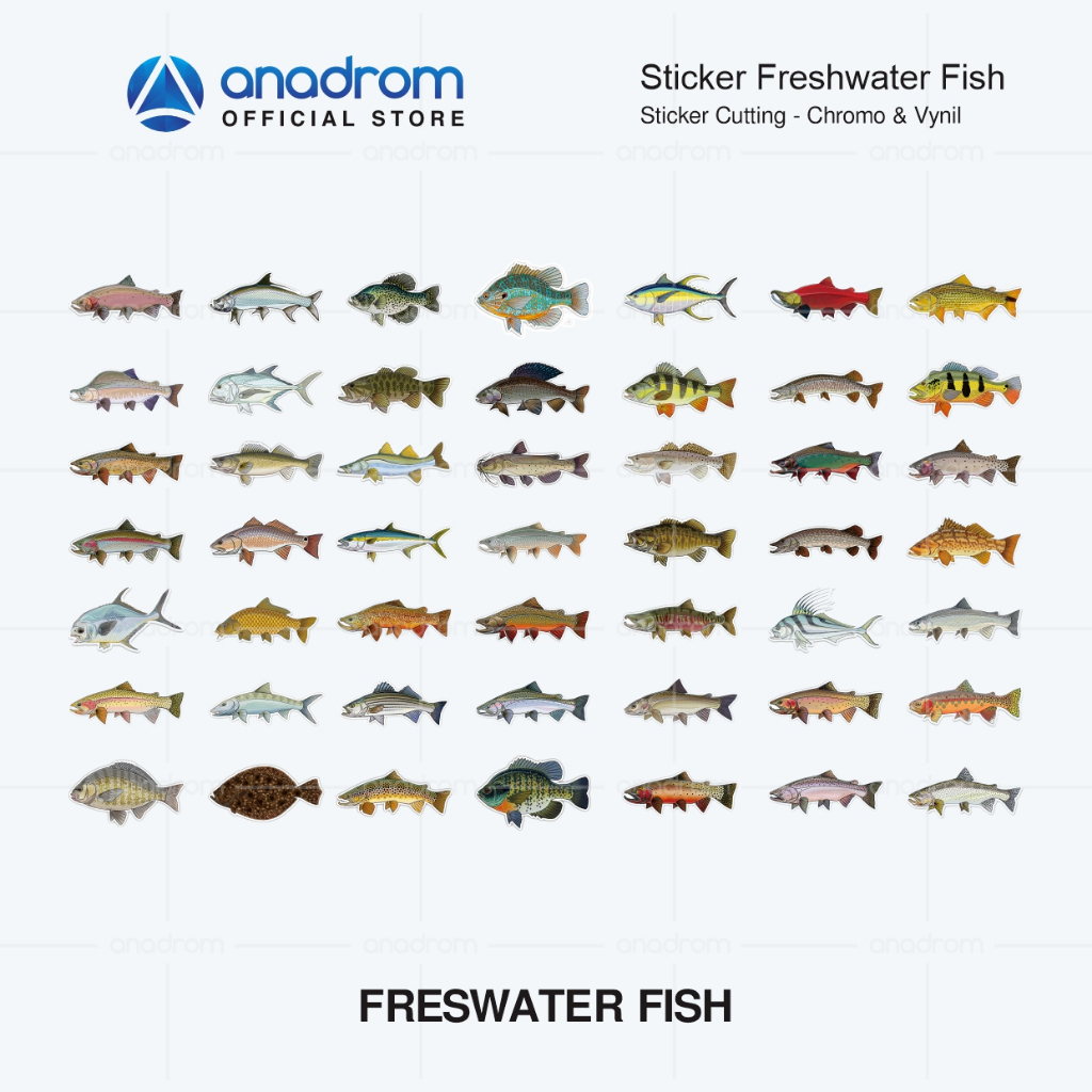Jual Sticker Freshwater Fish | Sticker Fish Aesthetic | Anadrom 3589 ...