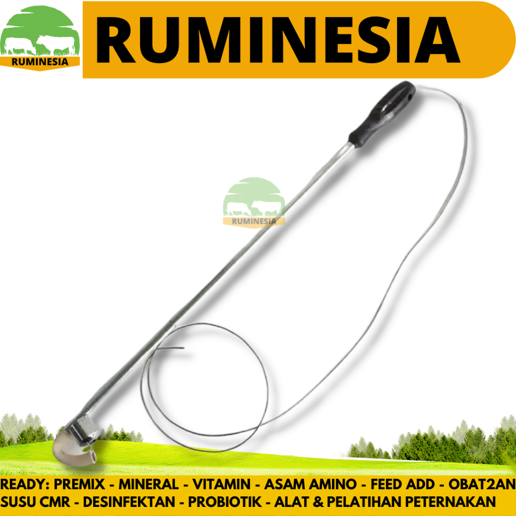Jual RUMEN MAGNET EKSTRAKTOR - Alat untuk mengambil Magnet di Perut ...