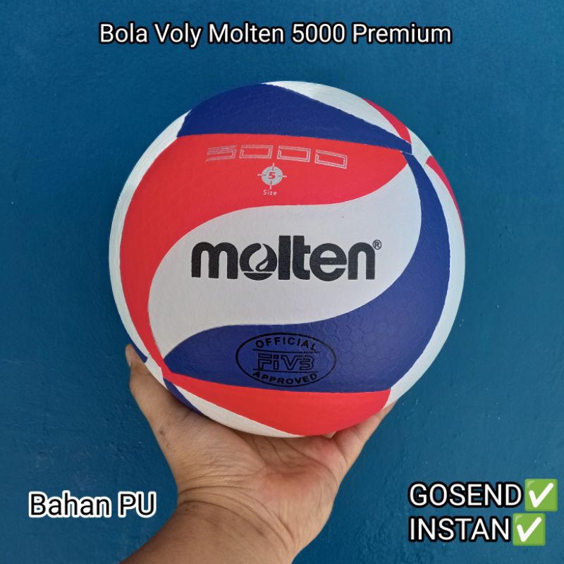 Jual Bola Volly molten 5000 Volleyball bonus jaring dan pentil Voli ...