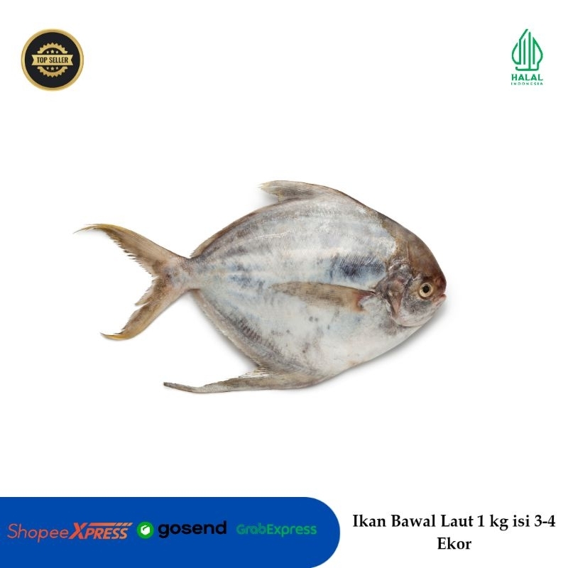 Jual Ikan Bawal/ Bawal Laut/ Ikan Bawal Hitam 1 kg isi 2 ekor | Shopee ...