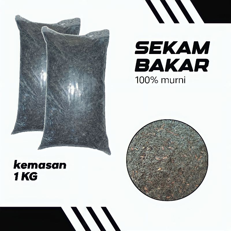 Jual Arang Sekam Sekam Bakar Kemasan 1 Kg Media Tanam Organik Shopee