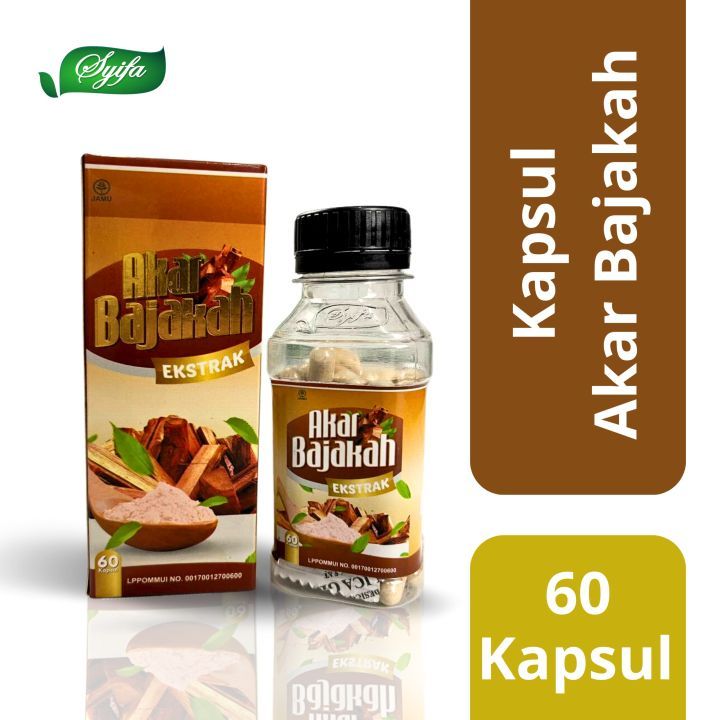 Jual Kayu Bajakah Kalimantan Kualitas Terbaik Herbal Kayu Akar