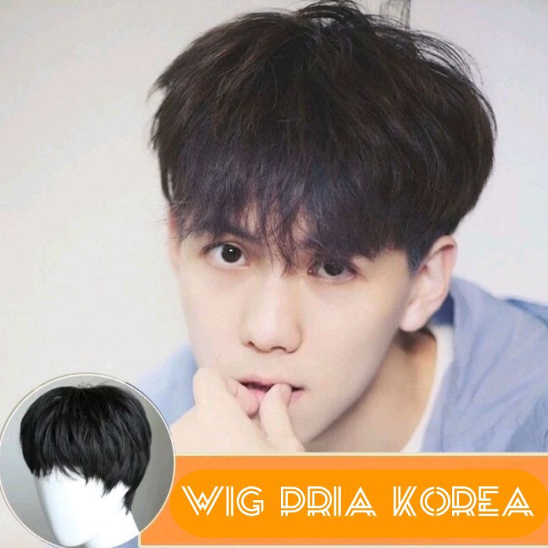 Jual Wig Pria Korea Poni Panjang Warna Hitam Natural Rambut Palsu Asli