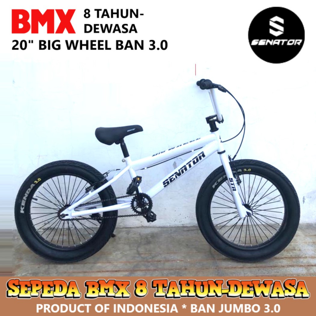 Jual Sepeda BMX Senator Big Wheel Ban Jumbo 20 Inch x 3.0 Inch Hi-Ten