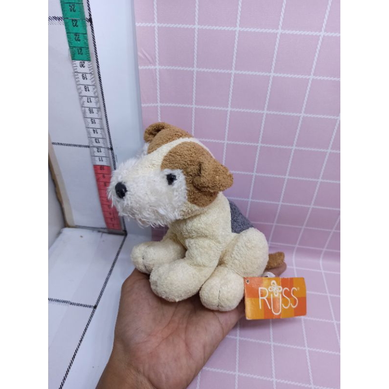 Jual fox shops terrier