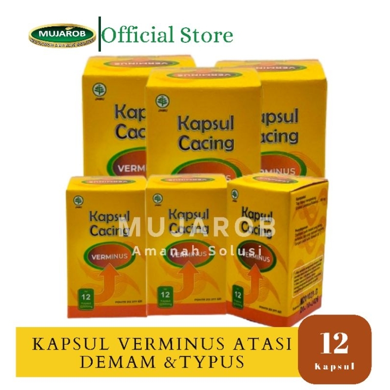 Jual Verminus Kapsul Cacing atasi Demam,Typus & DBD @12kapsul | Shopee ...