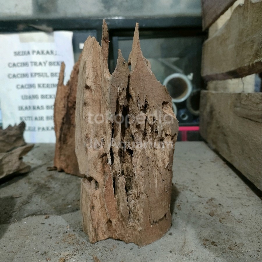 Jual Akar Rentek Hiasan Aquarium Aquascape Uk. S | Shopee Indonesia